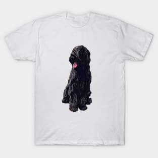 Briard Dog - Black Beauty T-Shirt